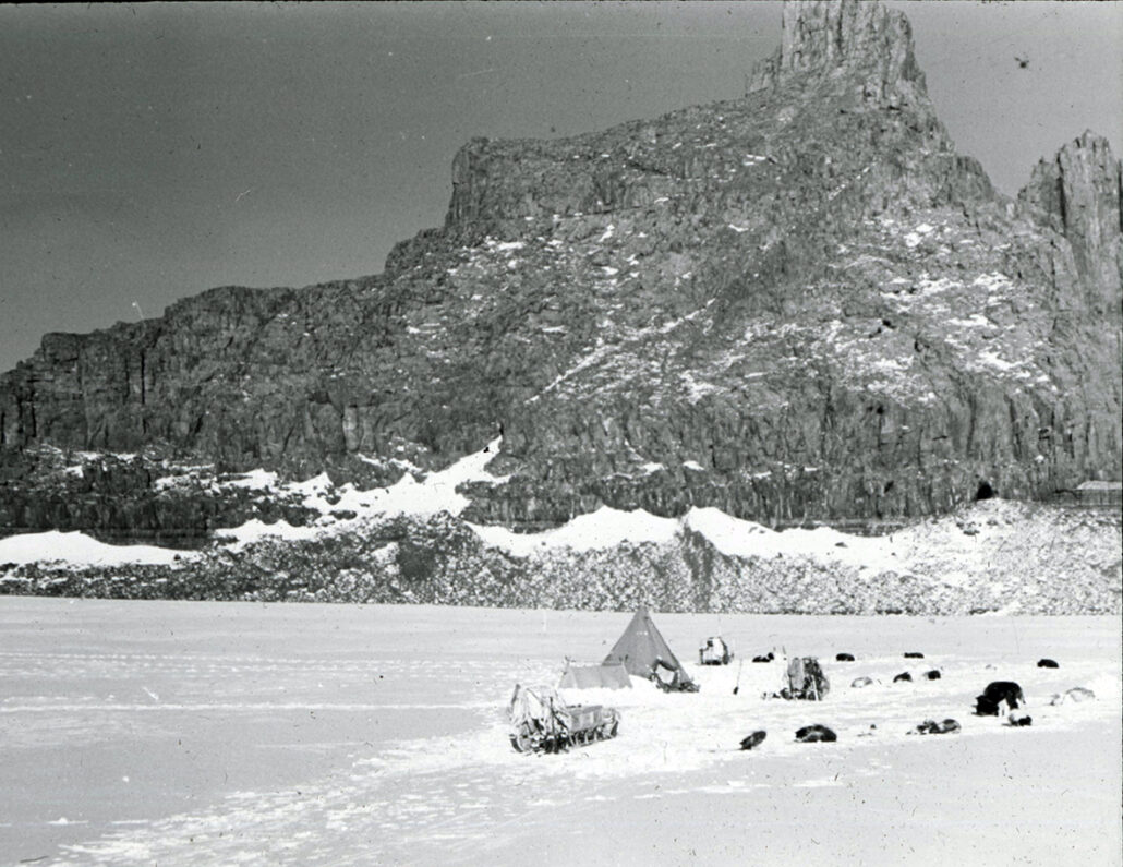Teltleir foran fjell