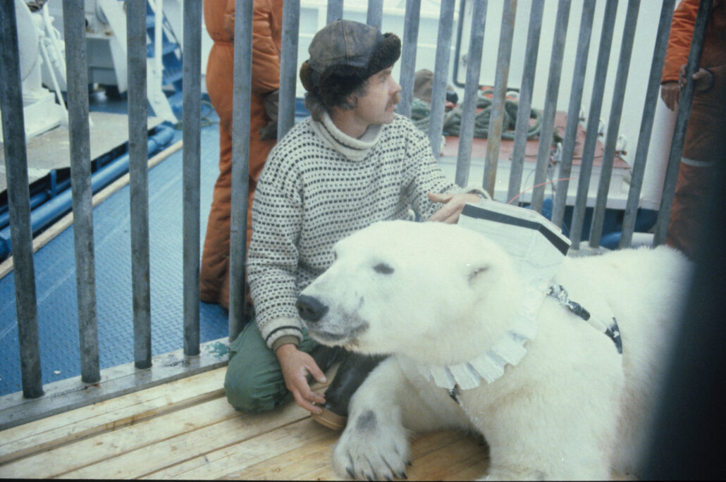Man sitter med voksen isbjørn i bur