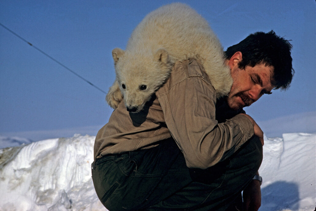 Mann sitter på huk, mens en isbjørnunge klatrer på skuldrene.