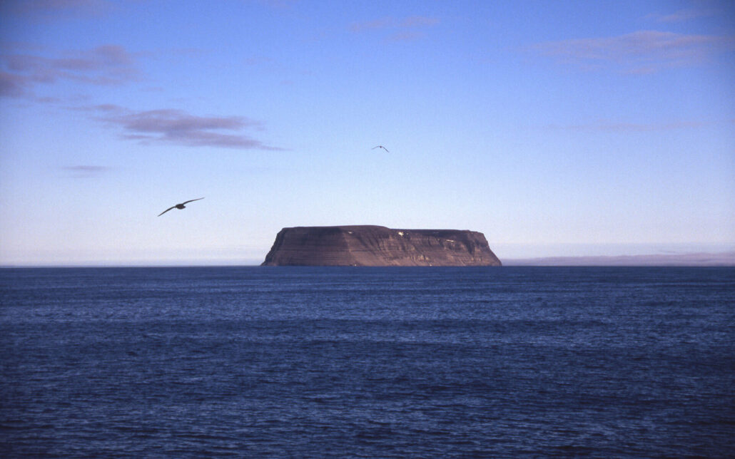 landskapsbilde med øy. Hav er mørkt blått. En fugl flyr til venstre.