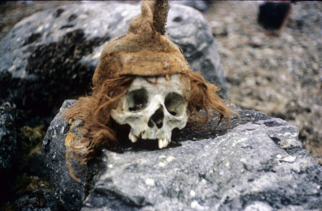 kraniet med utslitt brun lue som ligger på en grå stein