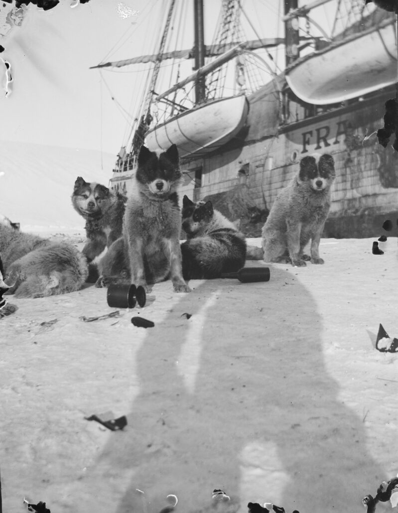 Fem hunder ligger på snøen foran et skip. På snøen foran hundene ligger det hermetikkbokser, flasker og annet.
