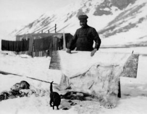 Mann spekker bjørneskinn som henger, i bakgrunnen en liten trehytte, i forgrunnen en svart katt.