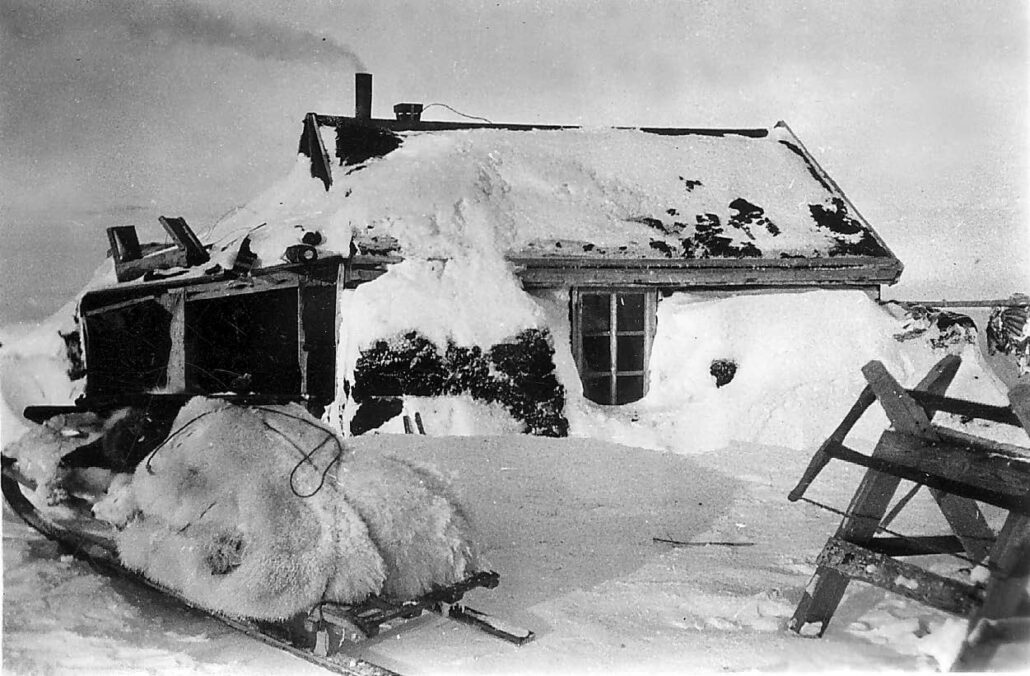 Nedsnødd fangsthytte med slede i lastet med isbjørnskinn i forgrunnen