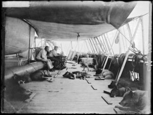 To menn sitter under et seil på et båtdekk. Åtte hunder ligger og hviler på dekket
