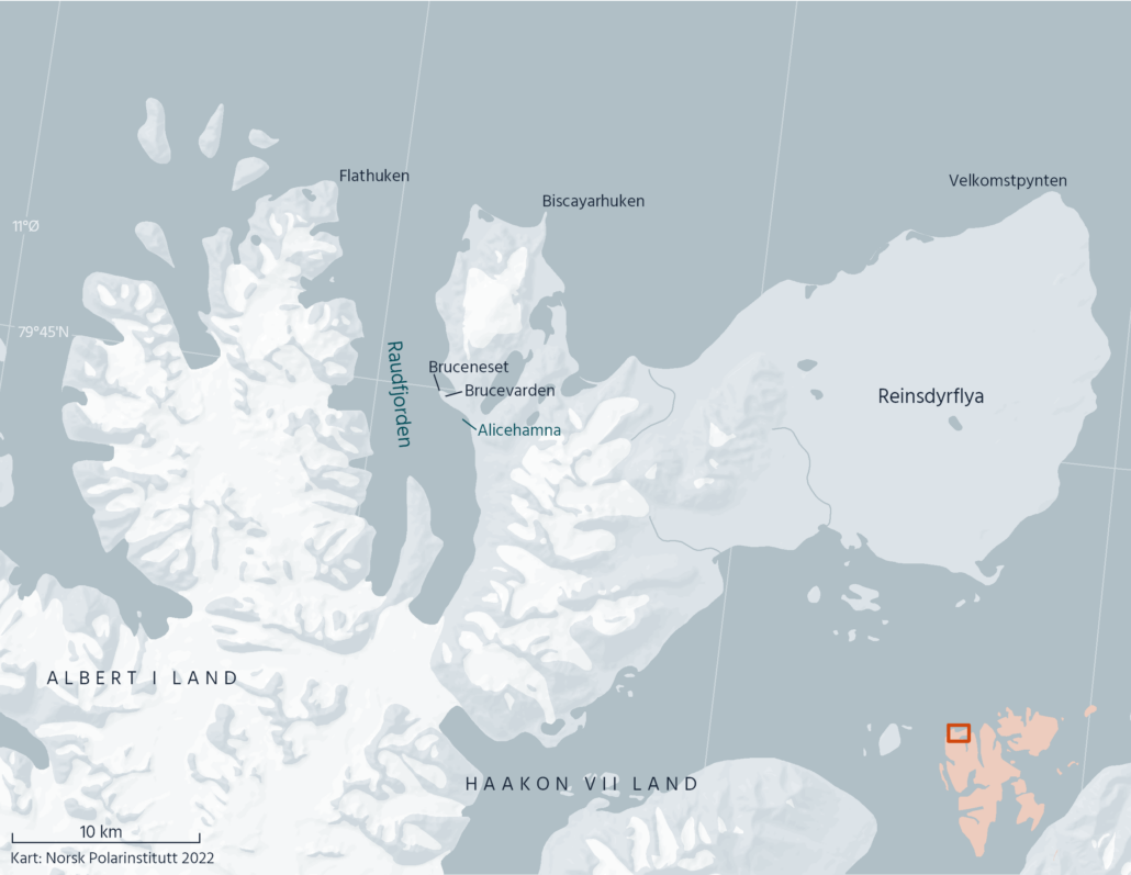 Bruceneset, Svalbard