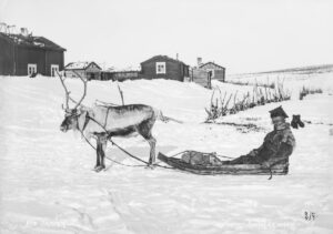 Same sitter i slede trukket av et reinsdyr. Seks trebygninger i bakgrunnen