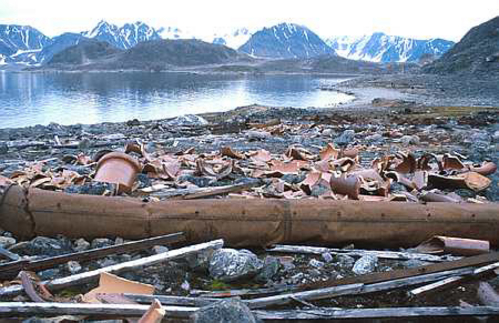 Rusten skrot ligger spredt i en strandkant. Snedekte fjell i bakrunnen